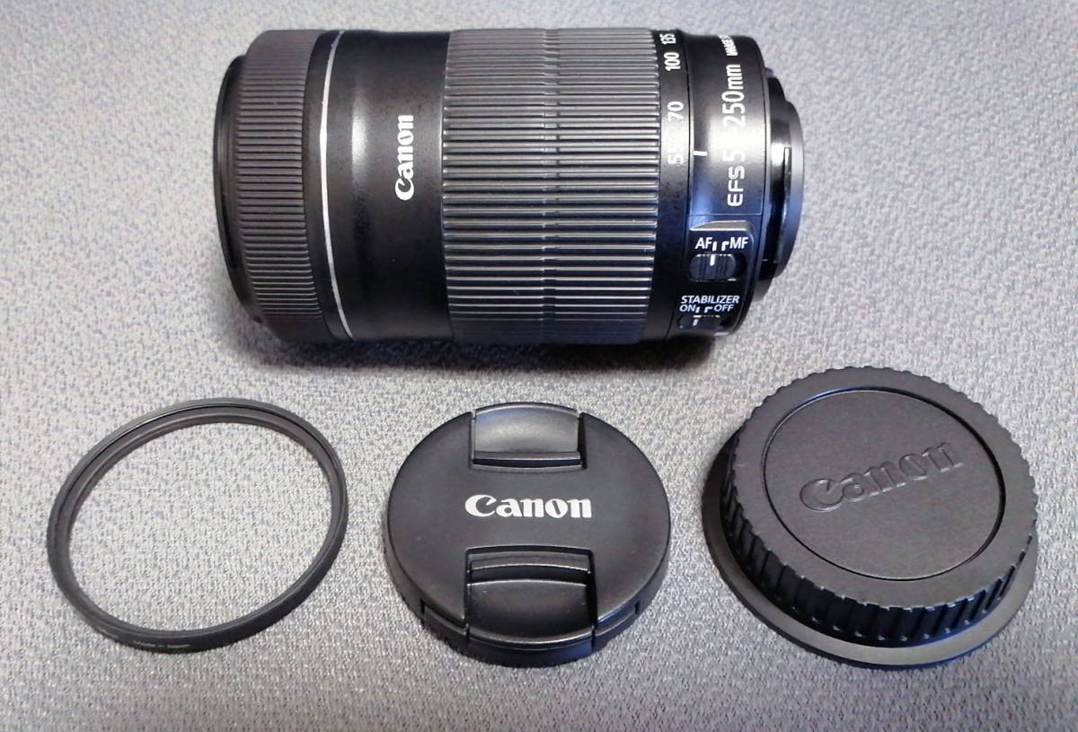 Canon EF-S55-250mm F4-5.6 IS STM / Kenko MC PROTECTOR NEO 58mm