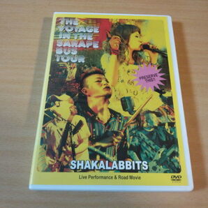 シャカラビッツDVD「2010年サラペのBUS TOUR」SHAKALABBITS●