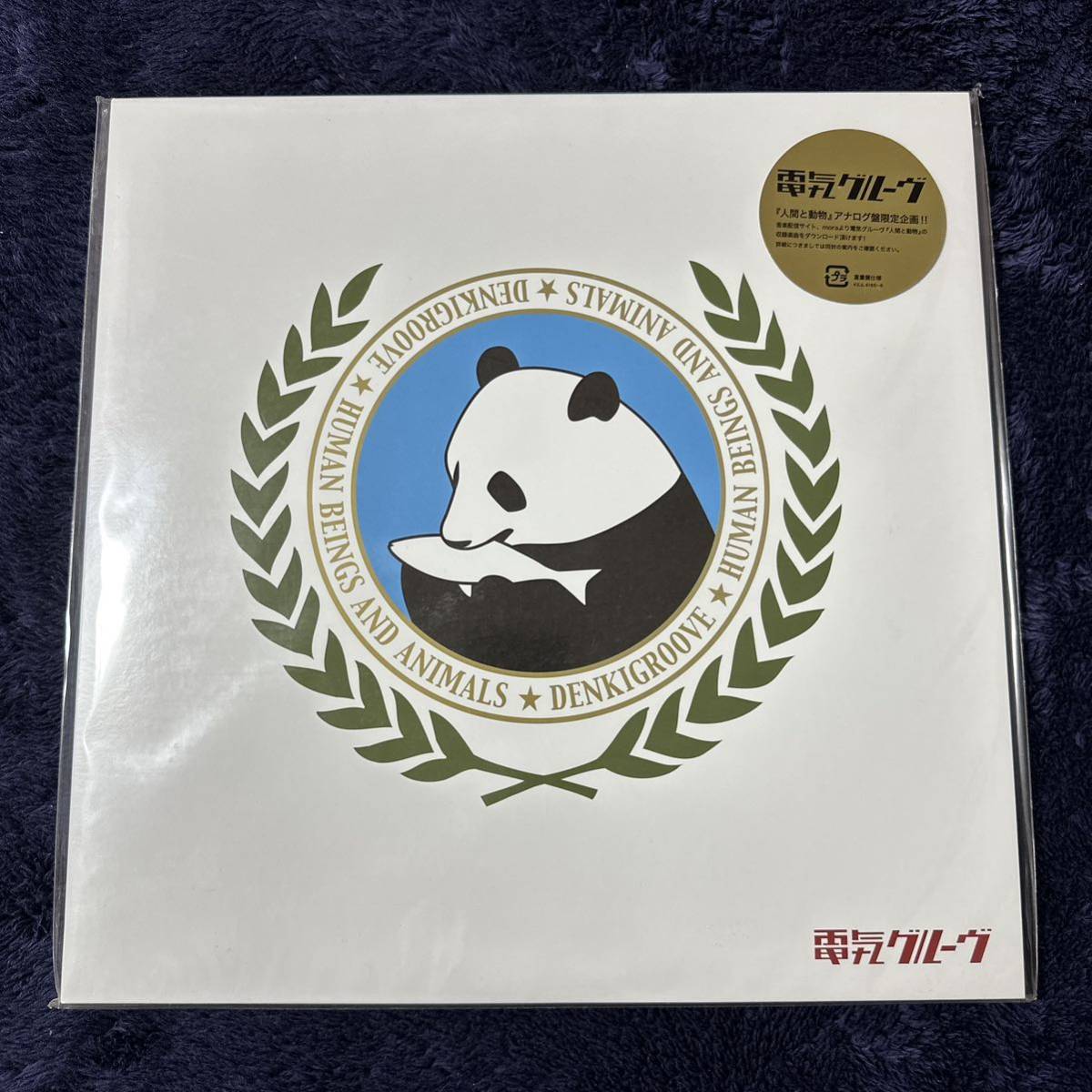 2023年最新】ヤフオク! -電気グルーヴ(レコード)の中古品・新品・未