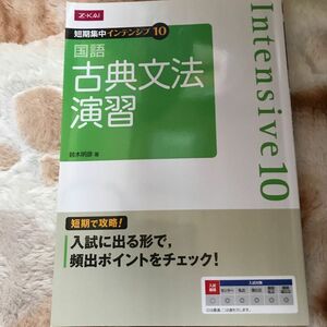 インテンシブ10 国語 古典文法演習／鈴木明彦