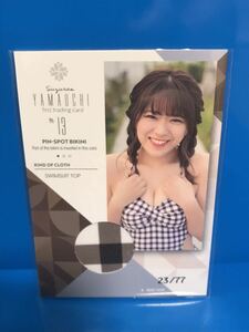  good part!!! trading card HIT'S [ mountain inside bell orchid [ First * trading card ] pin spo bikini card 13 (23/77)]
