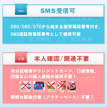 ★SMS受信OK【超大容量100GB/月（月額3900円）】 プリペイドデータ通信SIMカードprepaid DATA SIM★3ケ月使い放題+購入月無料★ 送料無料 _画像3