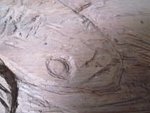 M5524 のぼり鯉 カープ 木製 オブジェ 作家手彫り ハンドメイド 縁起物（3007)_画像3