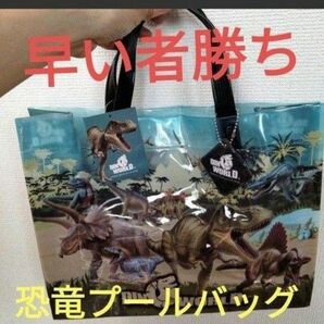 新品　新柄！ダイナソー 恐竜 ビーチバッグ　プールバッグ　ビニールバッグ　お値下げ不可