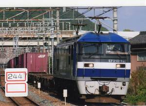 【鉄道写真】[2447]JR貨物 EF210 127 2008年11月頃撮影、鉄道ファンの方へ、お子様へ