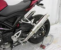 ホンダ／HONDA　CB125R（JC79）用左右2本出しマフラー90Φスリムタイプ_画像2