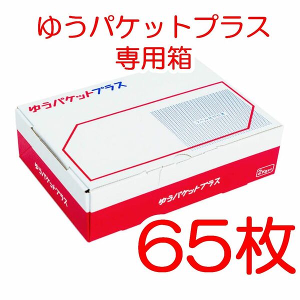 65枚 匿名配送 ゆうパケットプラス専用箱 梱包資材