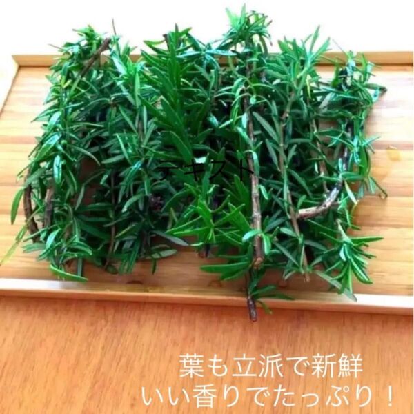 お勧め!【無農薬】で安心!お部屋に飾ってもかわいい【オーガニックローズマリー】切り枝B☆★もりもりおつめします!