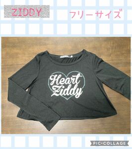 ZIDDY 長袖Tシャツ　フリーサイズ