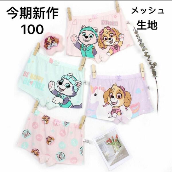 新品 パウパトロール パンツ 下着 女の子 4枚組 100