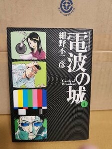 小学館/BIGコミックス『電波の城＃４』細野不二彦　初版本　