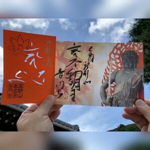 紅葉/不動明王 切り絵御朱印・見開き御朱印セット