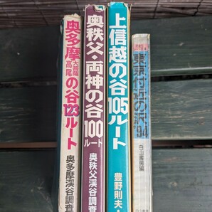 奥多摩大菩薩高尾の谷123ルート 奥秩父、両神の谷100ルート 上信越の谷105ルート 東京付近の沢94 の画像8