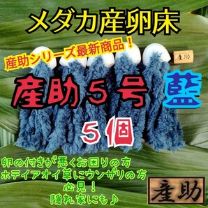 メダカ産卵床 10㎝ ★産助(さんすけ)５号藍【あい】５★ ※組立不要！金魚にも