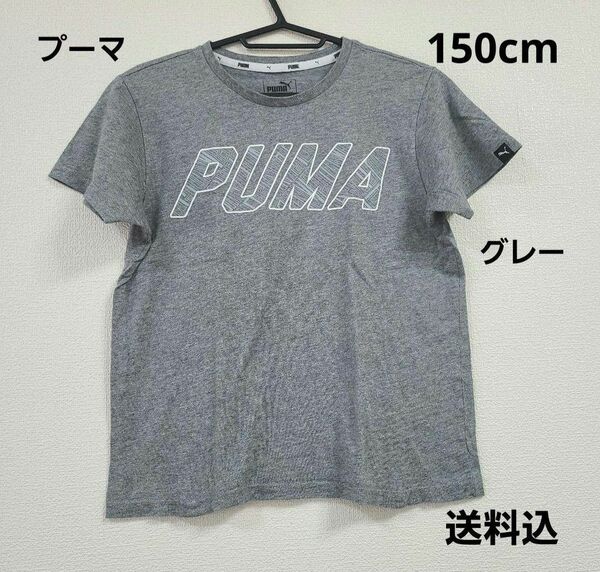 プーマ☆PUMA☆Tシャツ☆150cm☆グレー☆送料