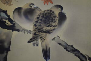 Art hand Auction [真品] / 甲府美和 / 红叶上的斑鸠 / 附桐木盒 / 布袋屋挂轴 HF-165, 绘画, 日本画, 花鸟, 野生动物