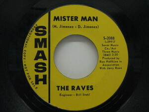 RAVES-Mister Man / Mother Nature