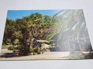 1604　絵葉書　白浜温泉　京都大学附属植物園