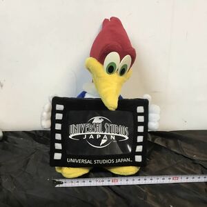  universal Studio Woodpecker soft toy picture frame 