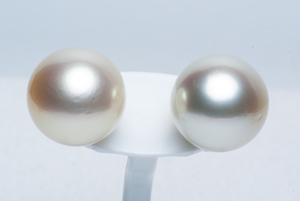 *[ Aurora Phoenix judgement document attaching ] extra-large south . White Butterfly pearl 13.3mmK14WG earrings 230715-4335