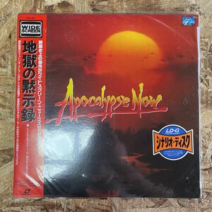 b600 LD レーザーディスク Apocalypse Now 地獄の黙示録 ワイドスクリーン 2枚組 帯付