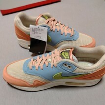 未使用　NIKE　VD3196-800　Nike Air Max 1 Light Madder Root and Worn Blue　27ｃｍ_画像3