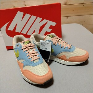 未使用　NIKE　VD3196-800　Nike Air Max 1 Light Madder Root and Worn Blue　27ｃｍ