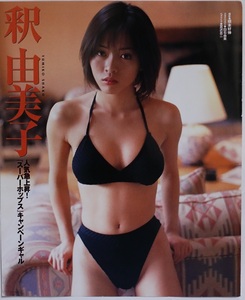 【希少】切り抜き　釈由美子 1999年宝島GOLDEN、ヤングサンデー