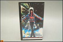 税込◆希少◆VHS LENNY KRAVITZ / ROCKPALAST '95 ブートレグ ブートレッグ ビデオ コレクター品-N2-8052_画像2