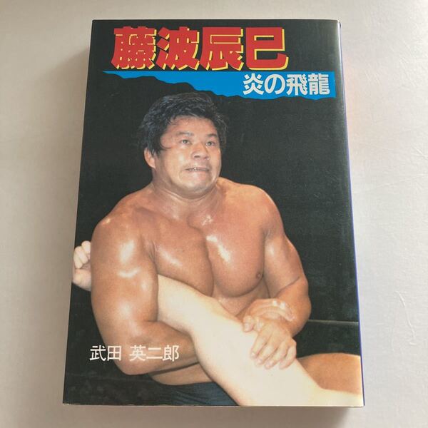 ◇送料無料◇ 藤波辰巳 炎の飛龍 武田英二郎 立風書房 1984年 ♪GM615
