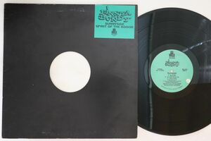 米12 Finsta Bundy Sunnyside / Spirit Of The Boogie BW200 Big Willie Records /00250