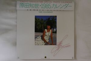 Memorabilia Calebdar, 原田知世 1985 カレンダー NONE CBS/SONY /00300