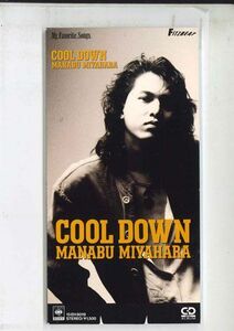 CD 宮原学 Cool DOWN 15EH8019 SONY /00110