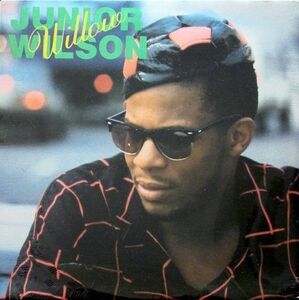 米LP Junior Wilson Willow MMLP0018 Witty, Music Master /00260