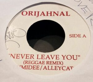 国不明7 Lumidee / Alley Cat Never Leave You / Overcast NONE Orijahnal Records /00080