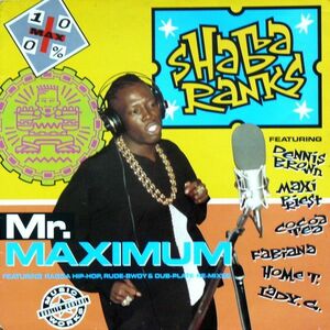 英LP Shabba Ranks Mr. Maximum GREL172 Greensleeves Records /00260