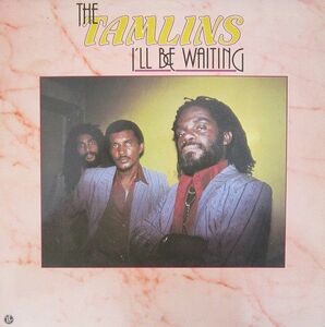 米LP Tamlins I'll Be Waiting LLLP027 Live & Learn Records /00260