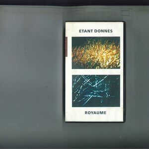  импорт VHS Etant Donnes Royaume STV004 NTSC /00300