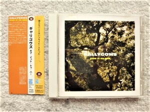 AN【 GALLYGOWS ギャリゴウズ / GIVE IT TO HER 】国内盤（解説・訳詞付き）CDは４枚まで送料１９８円