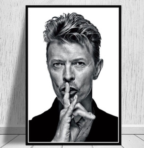 【最安保証】C847 David Bowie デヴィッド・ボウイ　キャンパスアートポスター　50×70cm インテリア　海外製　枠なし　A