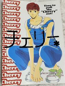  Cherry Slam Dunk журнал узкого круга литераторов . цветок . река × цветок дорога 36p