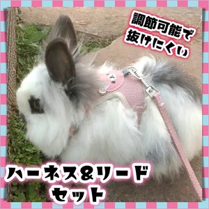 ハーネス リード セット 首輪 胴輪 小型 工型 洋服 着せやすい 脱げにくい 抜けにくい 犬 猫 ウサギ フェレット お出かけ 調節可能 ペット