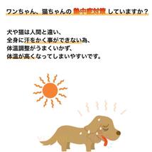 【保冷剤付き】M ネッククーラー グレー　犬 ペット　暑さ対策 熱中症_画像2