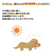 【保冷剤付き】S ネッククーラー グレー　犬 ペット　暑さ対策 熱中症_画像2
