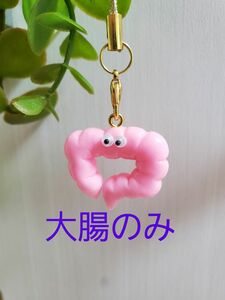 大腸　臓器　キーホルダー　ストラップ　アクセサリー　チャーム　グッズ　ハンドメイド　手作り　おもちゃ　知育　看護　医療　手術室