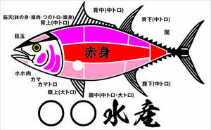 鮪 部位 ステッカー マグロ まぐろ　刺身 魚河岸 釣り船 漁師三崎港 境港 気仙沼 寿司屋 居酒屋 魚市場 トラック野郎 水産 ★C8 