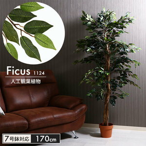 観葉植物 人工 フェイクグリーン フィカス 高さ 170cm 7号鉢対応 造花 インテリア 目隠し M5-MGKFGB90091