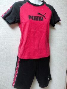 * puma T-shirt top and bottom set 140cm beautiful goods 