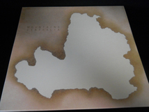 《ノイズ特集:KOEN HOLTKAMP/2LP》MOUNTAINS/CENTRALIA(カラーレコード) _画像1