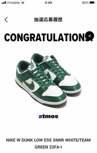 Nike WMNS Dunk Low "Satin Green"ナイキ ウィメンズ ダンク ロー "サテングリーン" 28cm